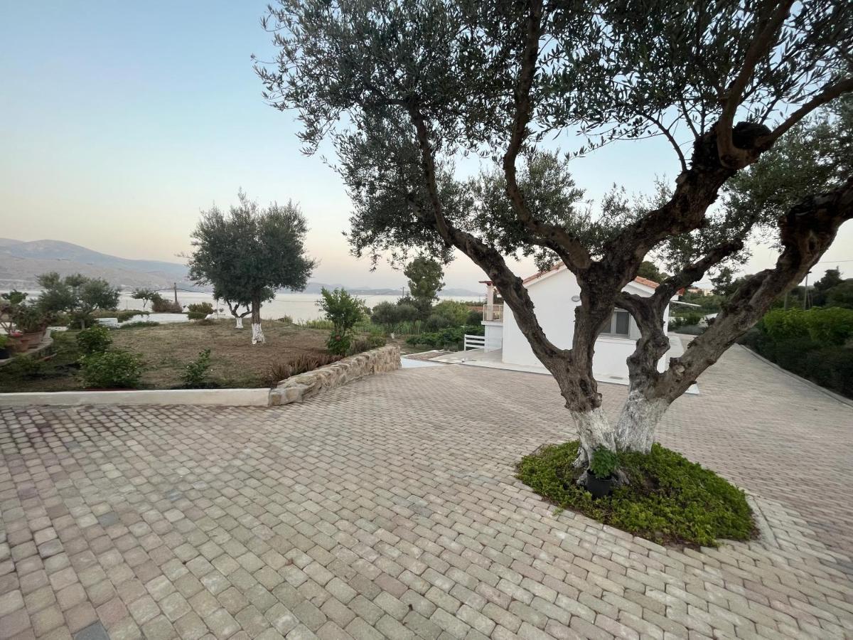 Apollonides Seafront Villa1 Aoede リクスリオン エクステリア 写真