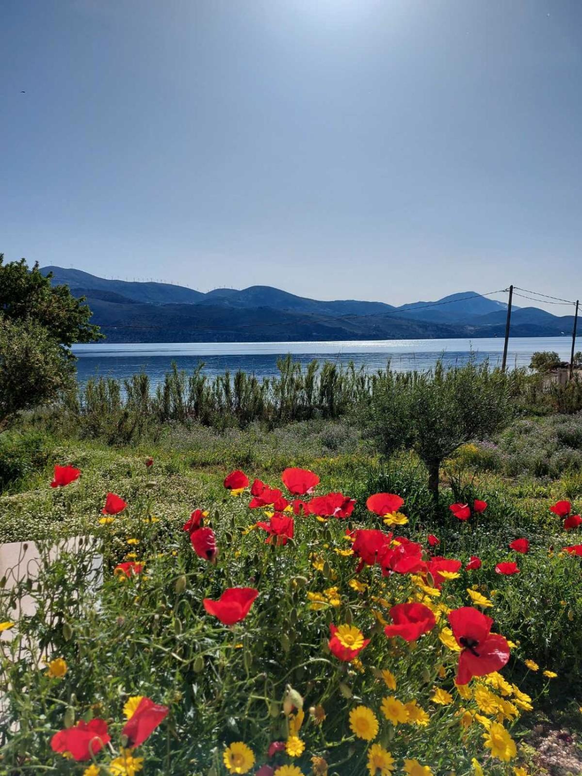Apollonides Seafront Villa1 Aoede リクスリオン エクステリア 写真